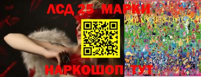 скорость Заводоуковск