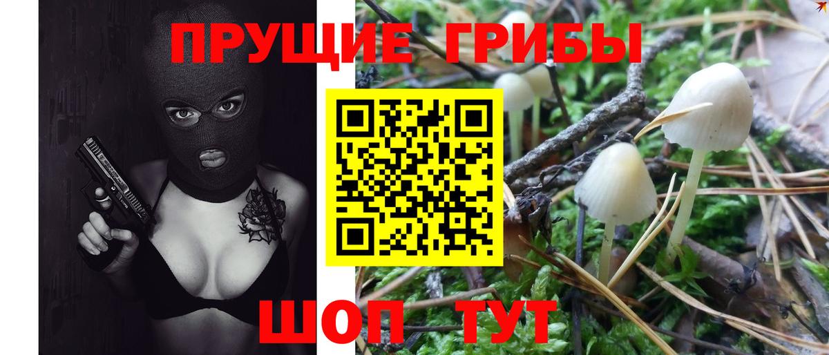 Галлюциногенные грибы MAGIC MUSHROOMS Мытищи
