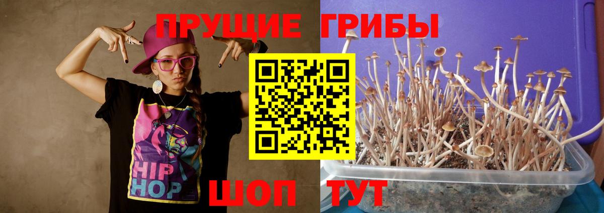 Галлюциногенные грибы Psilocybe  Вход с VPN  Псилоцибиновые грибы Magic Shrooms  Мытищи 